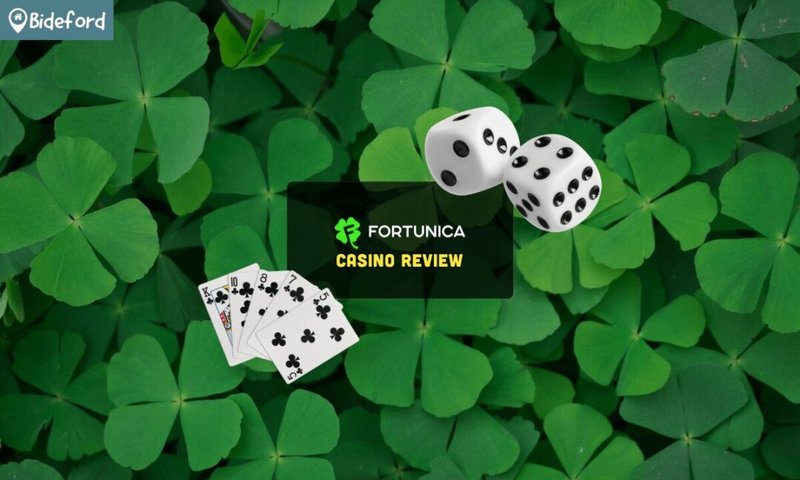 Learn about fortunica uk
